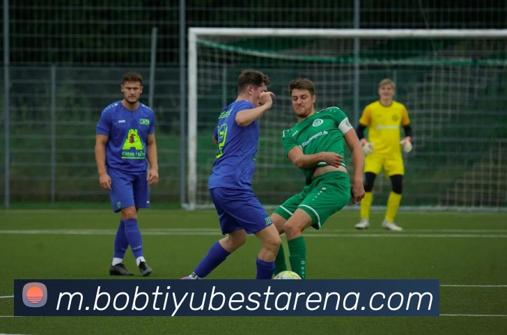 BOB体育平台生态图